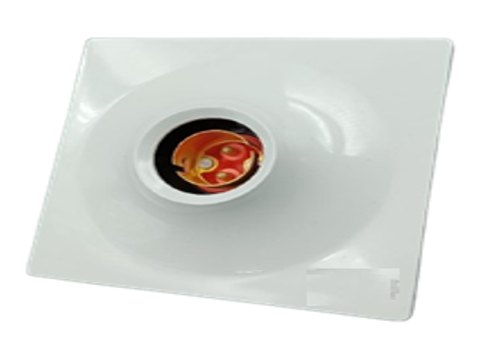 Plate Holder with Metal Ring